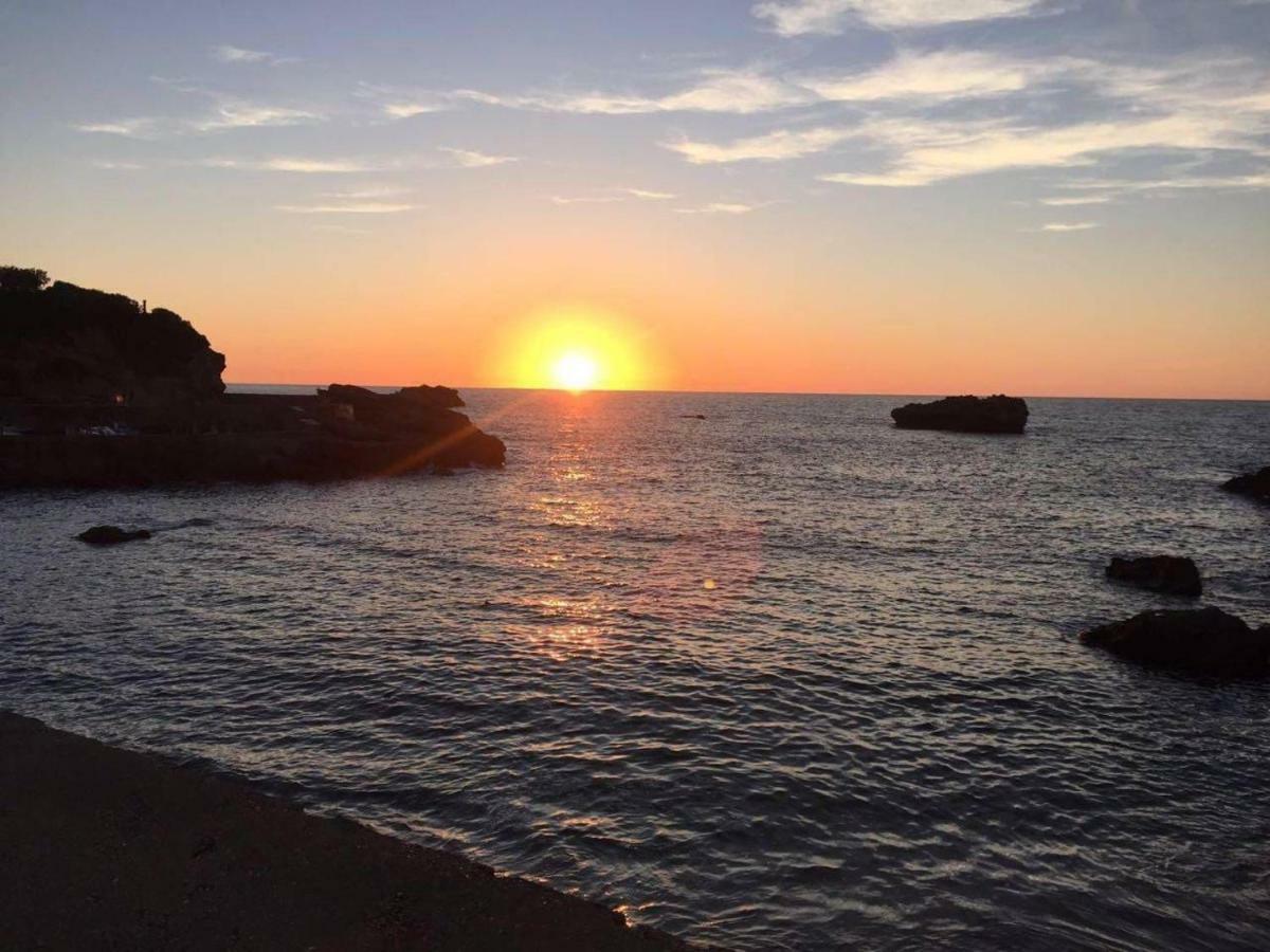 Petit Appartement Douillet Tres Bien Situe Biarritz Dış mekan fotoğraf