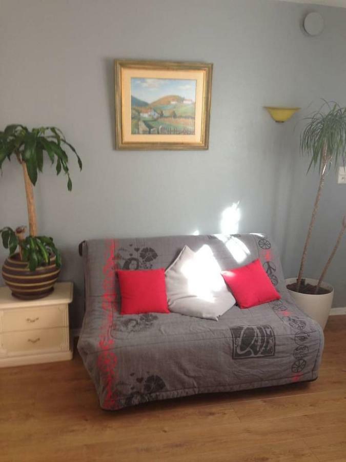 Petit Appartement Douillet Tres Bien Situe Biarritz Dış mekan fotoğraf