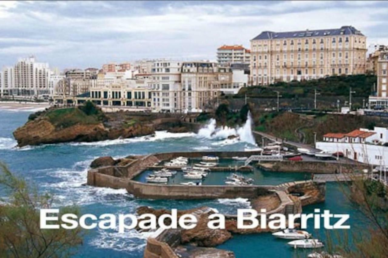 Petit Appartement Douillet Tres Bien Situe Biarritz Dış mekan fotoğraf
